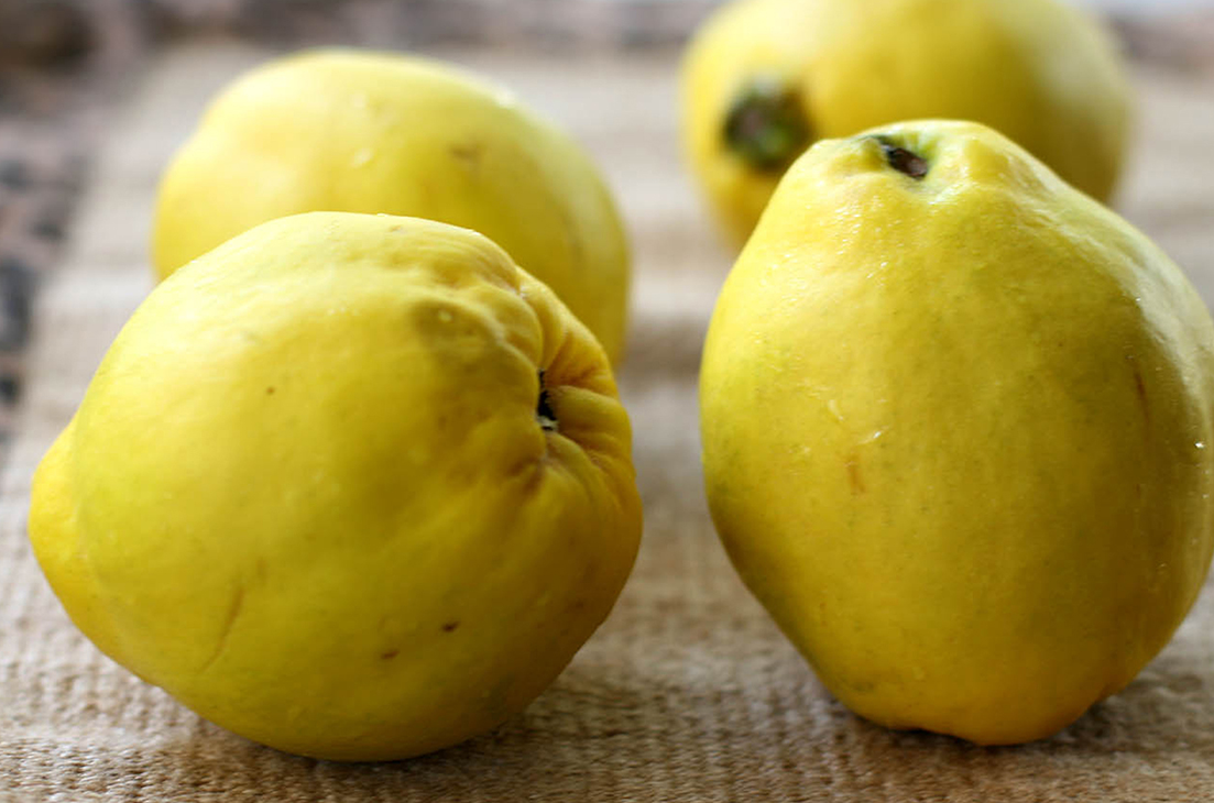 fresh, exciting and re-energizing taste